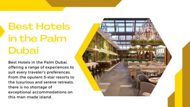 Best Hotels in the Palm Dubai