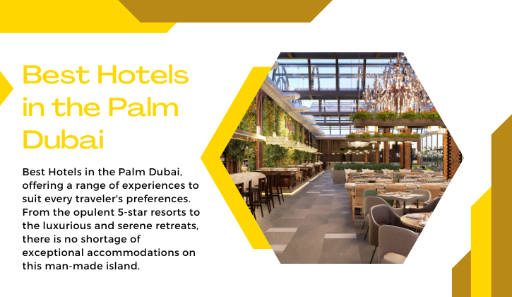 Best Hotels in the Palm Dubai