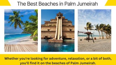 The Best Beaches in Palm Jumeirah