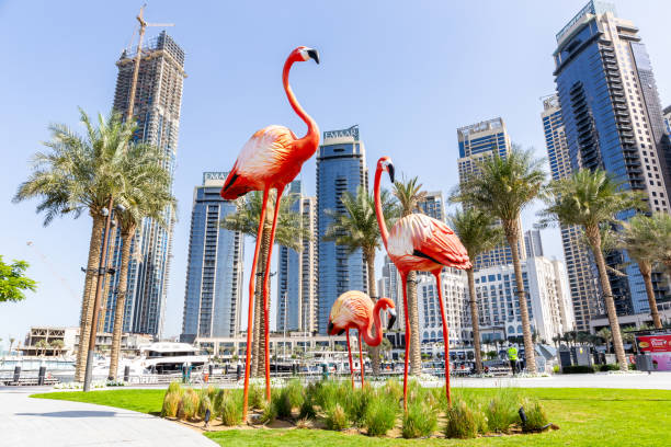 Dubai Creek Park 