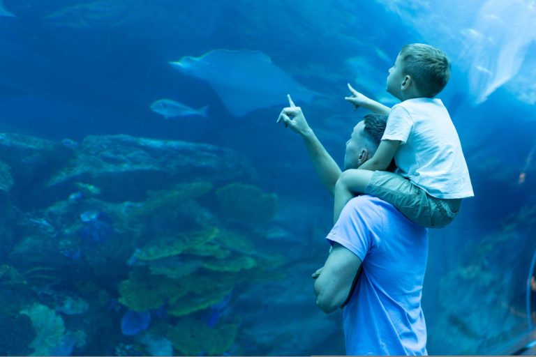 Dubai Aquarium, places to visit in dubai, 