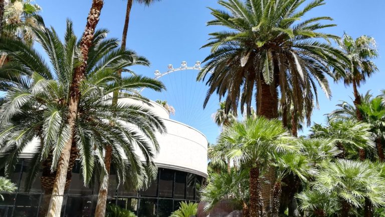 Dubai Opera Garden, places to visit in UAE during summer,