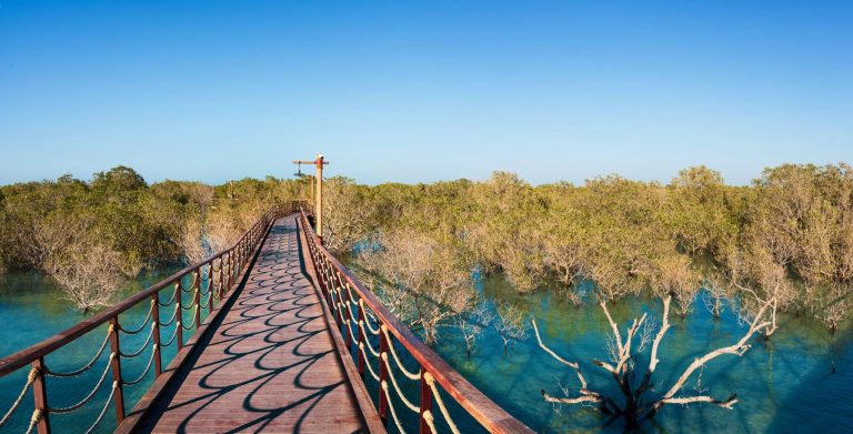 abu dhabi best places, Mangrove National Park, 