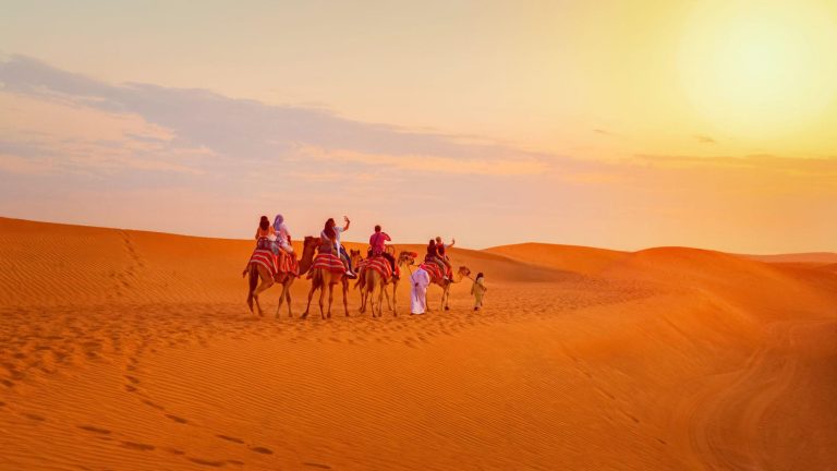 Morning Desert Safari with Camel Ride, dubai desert safari,