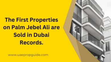 Palm Jebel Ali, uae news, uae property news,