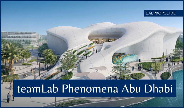 teamLab Phenomena Abu Dhabi,
