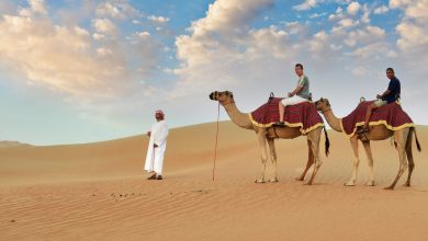 Camel Riding in Dubai,