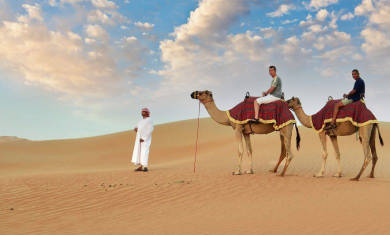 Camel Riding in Dubai,