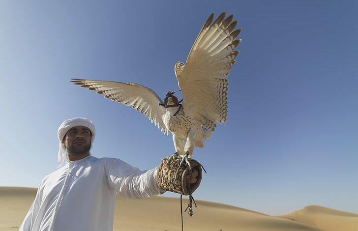 Falconry-Desert-tour-in-dubai,