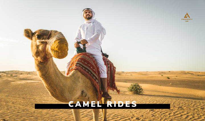 Camel Rides,